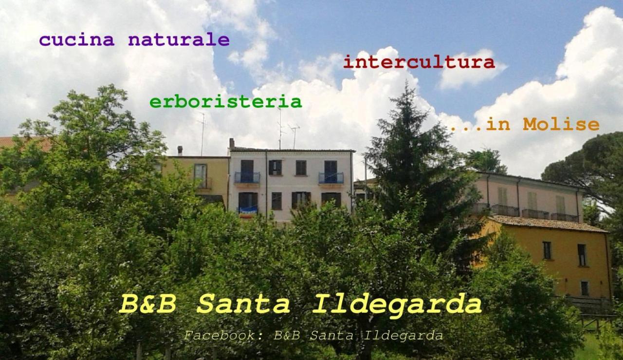B&B Santa Ildegarda Cantalupo nel Sannio Bilik gambar